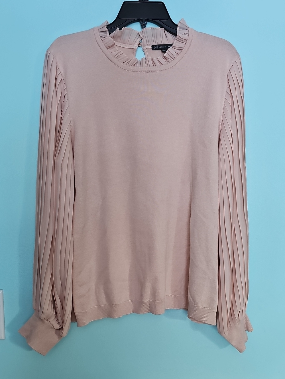 Adrianna Papell Dusty Blush Pleated-Sleeve Ruffle Neck Sweater